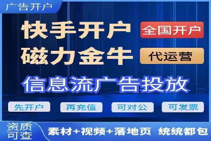 SEM外包策略在电商平台的成功案例